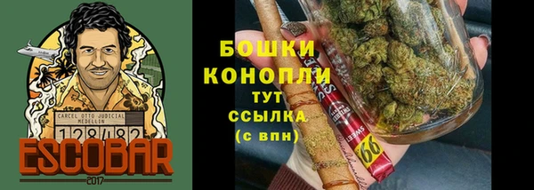 винт Сатка