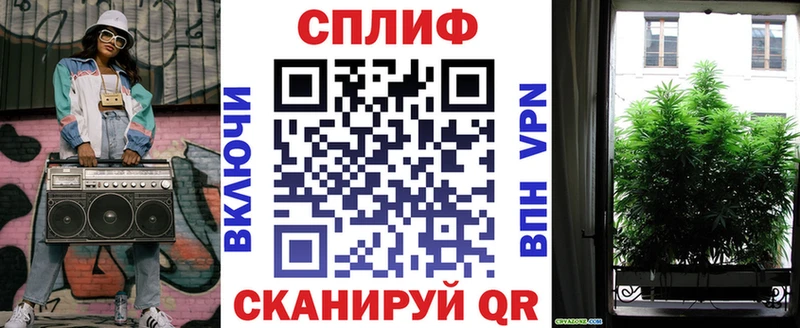 как найти   Ивангород  Конопля сатива 